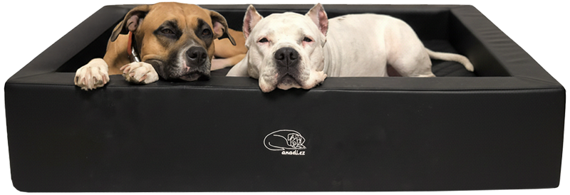 Psi cely pelech web pgn